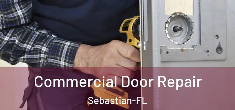 Commercial Door Repair Sebastian-FL