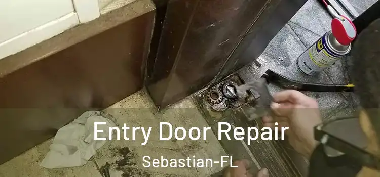  Entry Door Repair Sebastian-FL